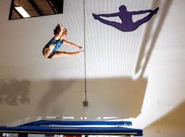 Image result for Pegasus Trampoline Club