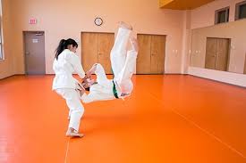 Image result for Sokudo Martial Arts Club