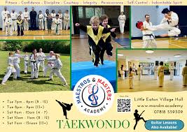 Image result for Great Britain Martial Arts Academy