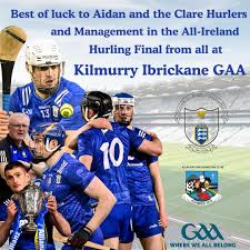 Image result for Clarehurlers