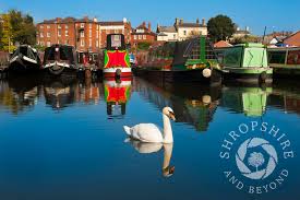 Image result for Stourport-On-Severn Cc