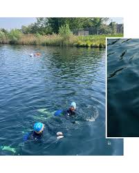 Image result for Darwen Snorkelling Club