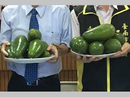 「アボカド大臣」の画像検索結果