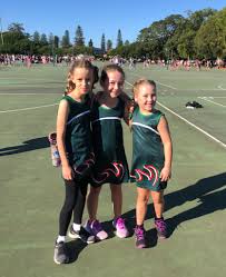 Image result for Newdigate Netball Club