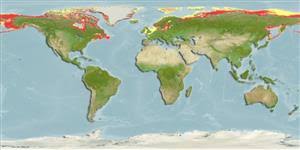 Image result for Myoxocephalus quadricornis