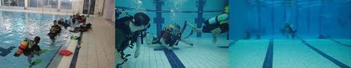 Image result for Lutterworth Swimming Club