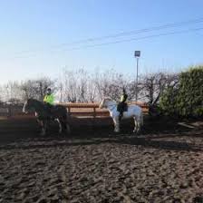 Image result for Dalkeith Park Equestrian Club