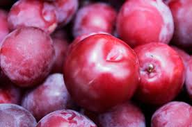 Attēlu rezultāti vaicājumam “Rosa subcanina fruit”