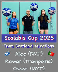 Image result for Gatwick Flyers Trampoline Club