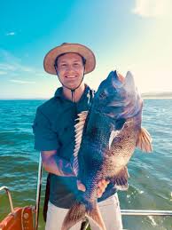 Image result for Cymatoceps nasutus