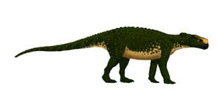 Image result for MINMI