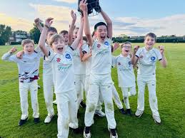 Image result for Ingatestone & Fryerning Cricket Club