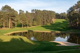 Image result for Arscott Golf Club