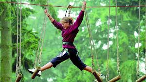 Image result for Go Ape! Thetford