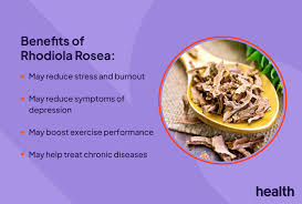 Attēlu rezultāti vaicājumam “Rhodiola rosea”