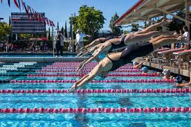 Image result for Aztec Divers