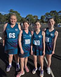 Image result for Normanton Falcons Netball Club