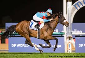 Image result for Almond Riding Club