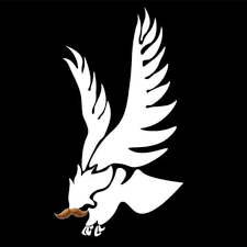 Image result for University Of Sussex Ultimate Frisbee Club