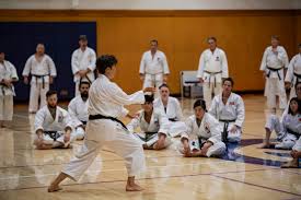 Image result for Northern Freestyle Karate Association