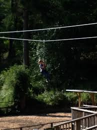 Image result for Go Ape! Dalby