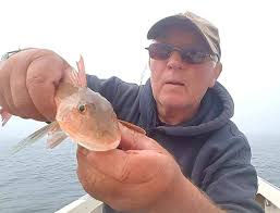 Image result for Fylde Boat Angling Club