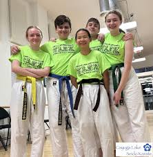 Image result for Aylesbury Vale Seido Karate
