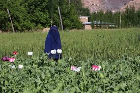 Risultati immagini per privazione della pheega