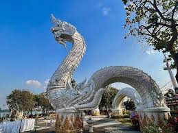 Kuvahaun tulos haulle nagas