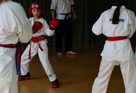 Image result for Bytomic Tae Kwon Do Lower Earley