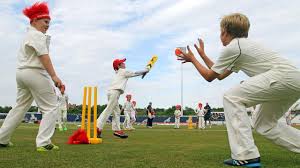 Image result for Hatfield Hyde Cricket Club