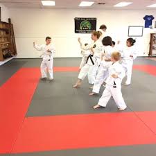 Image result for Soncho Karate Club