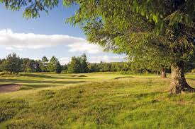 Image result for Forfar Golf Club