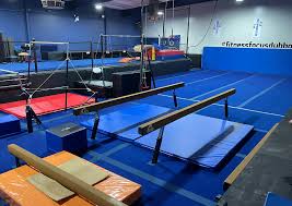 Image result for Focus Institute of Gymnastics