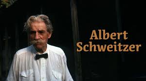 Image result for albert schweitzer