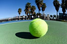 Image result for Leake Tennis Club