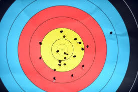 Image result for Blue Arrows Archery Club