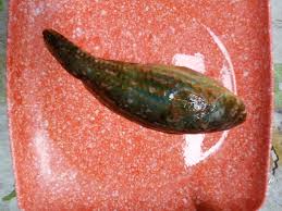 Image result for *PHUfbqhZ