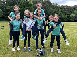 Image result for Poole Town Cc