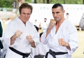 Image result for Sandokai Karate