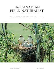Attēlu rezultāti vaicājumam “Larus argentatus nest”