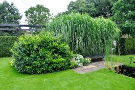 Image result for Mien Ruys