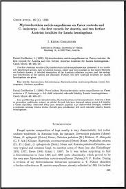 Attēlu rezultāti vaicājumam “Myriosclerotinia scirpicola”