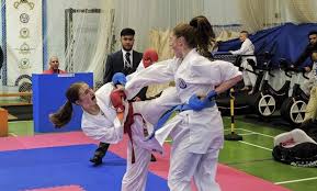 Image result for Su-Ha-Ri-Wado Karate School