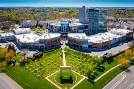 Image result for Basildon Sc