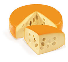 Image result for maasdammer