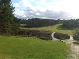 Image result for Reigate Heath Golf Club