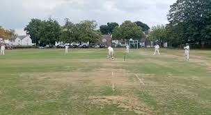Image result for LITTLE GADDESDEN CRICKET CLUB