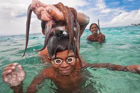 Image result for Duchy Divers