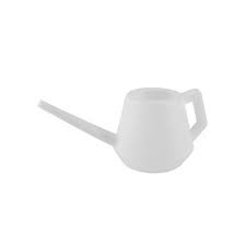 Image result for Lota lota